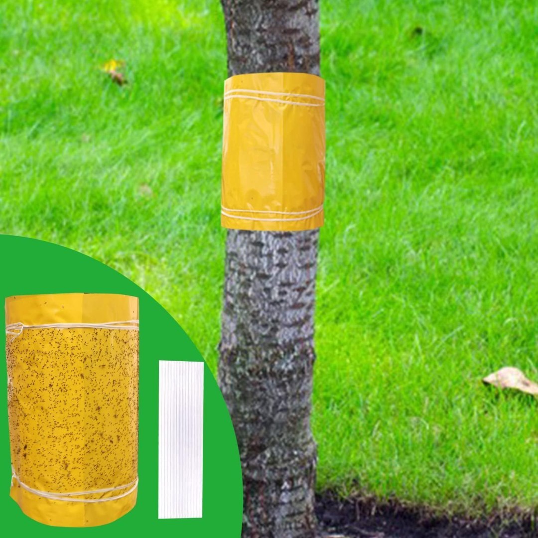 Zestaw ochrony drzew 25 cm x 5 m, trwała ochrona pni w ogrodach Zestaw ochrony drzew 25 cm x 5 m, trwała ochrona pni w ogrodach
